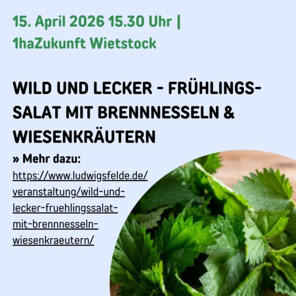 2026-04-01-veranstaltung-stadt-gruen-statt-grau-06