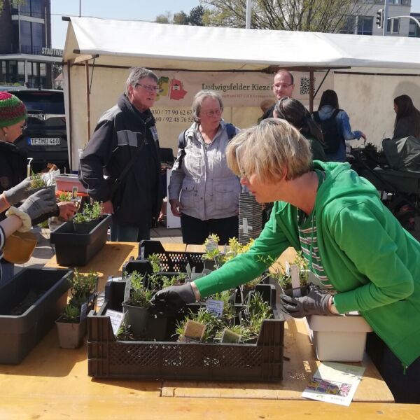 2026-04-19-bericht-stadtgruen-statt-grau-02