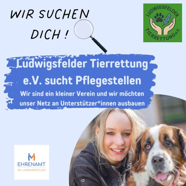 2026-06-25-angebot-ludwigsfelder-tierrettung-sucht-pflegestellen-01